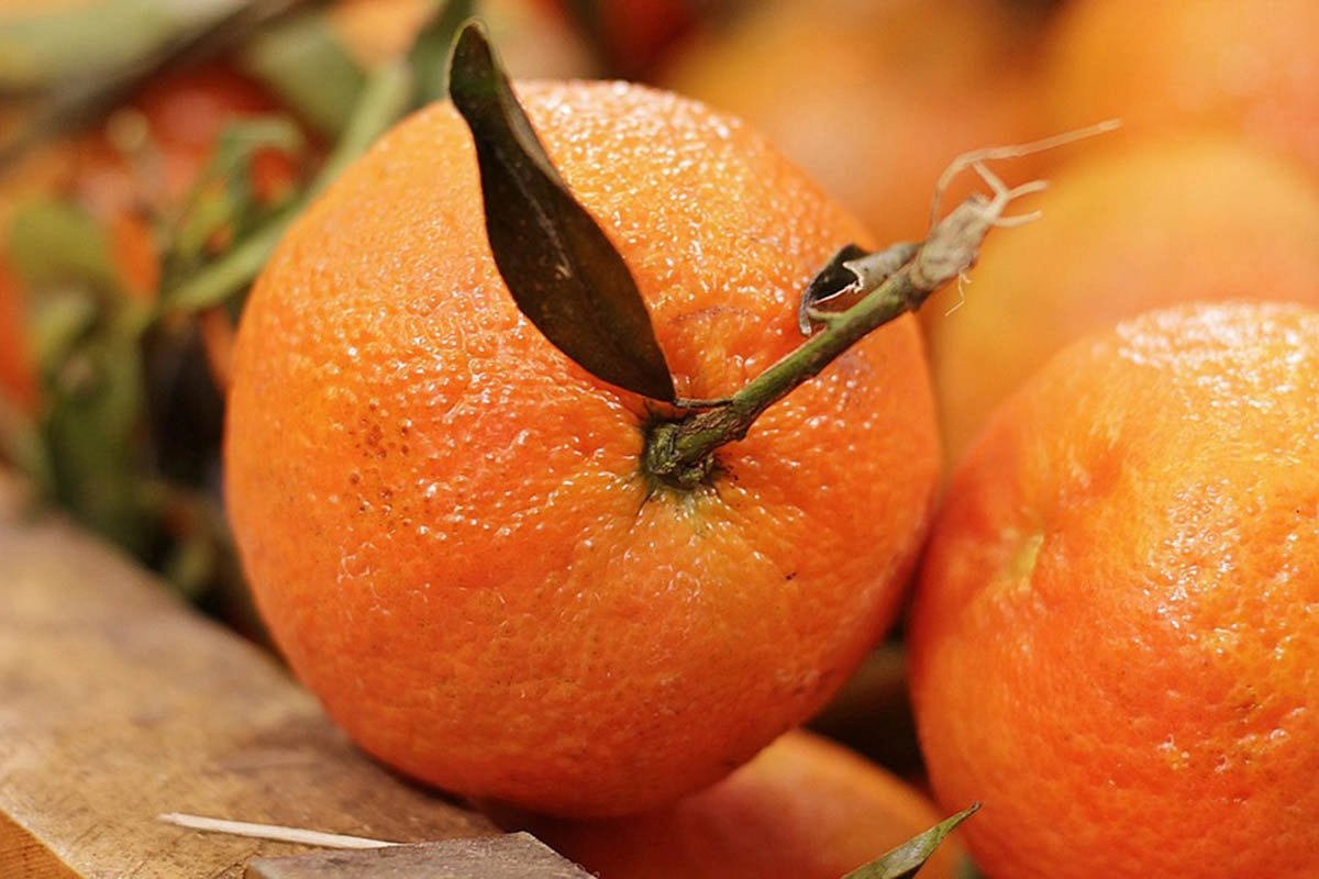 Zašto treba da jedemo naranče?